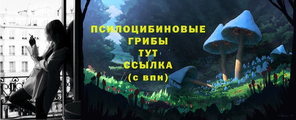 гидра Новокубанск