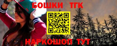 индика Комсомольск-на-Амуре