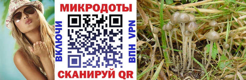 ссылка на мегу онион  Михайловск  Галлюциногенные грибы мухоморы 