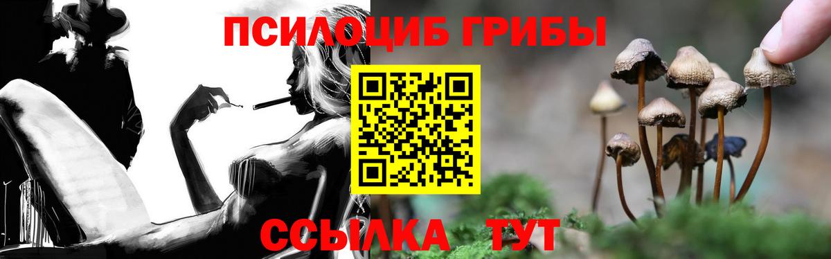 Михайловск  Галлюциногенные грибы Psilocybe  Галлюциногенные грибы GOLDEN TEACHER  Вход с VPN 