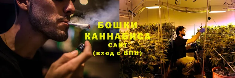 закладка  Михайловск  Шишки марихуана Ganja 